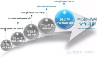 互聯(lián)網(wǎng)醫(yī)藥 迎接行業(yè)2.0時(shí)代的挑戰(zhàn)與機(jī)遇